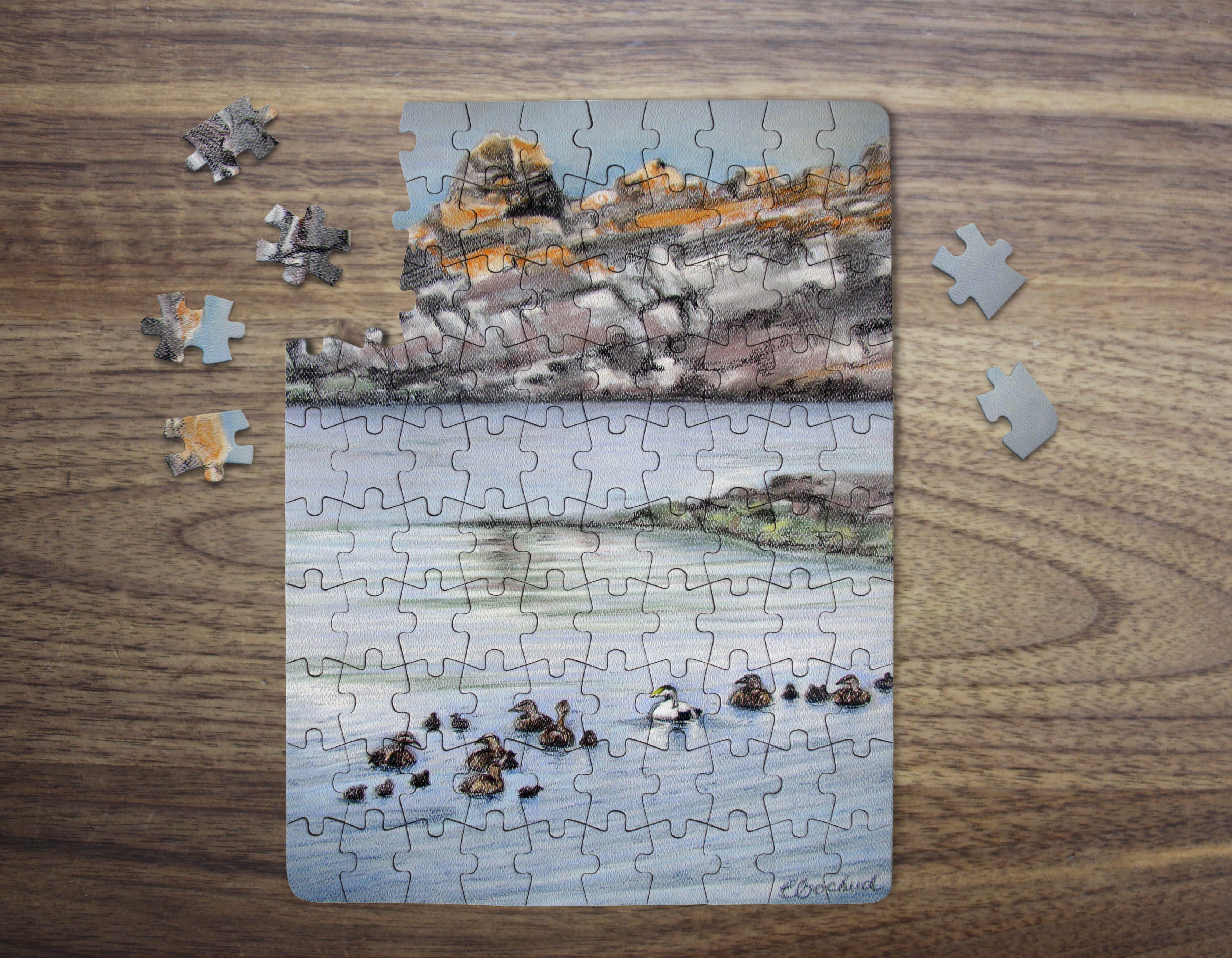 eiders puzzle