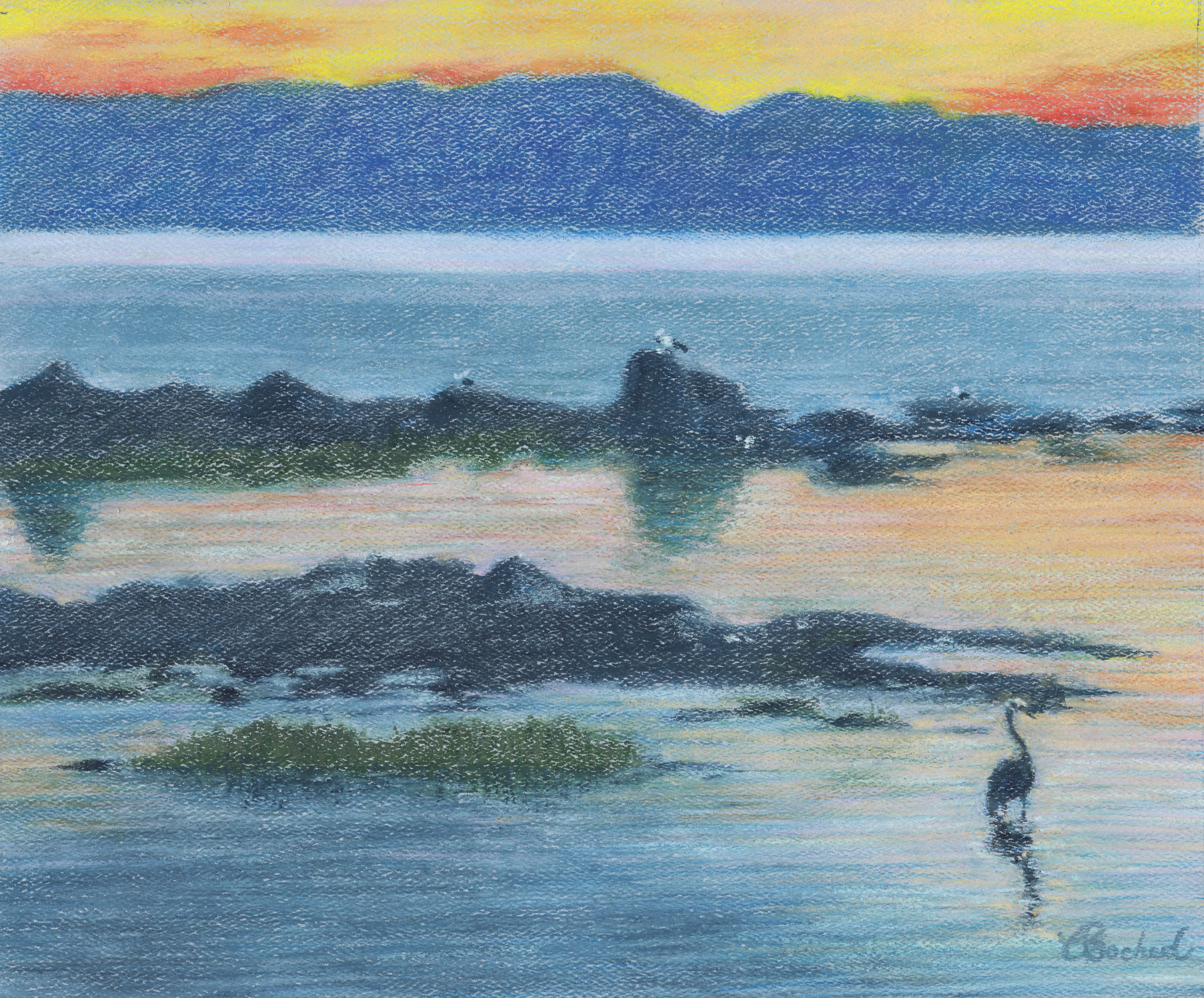 Dessin Naturaliste Décoration Rainette Illustration