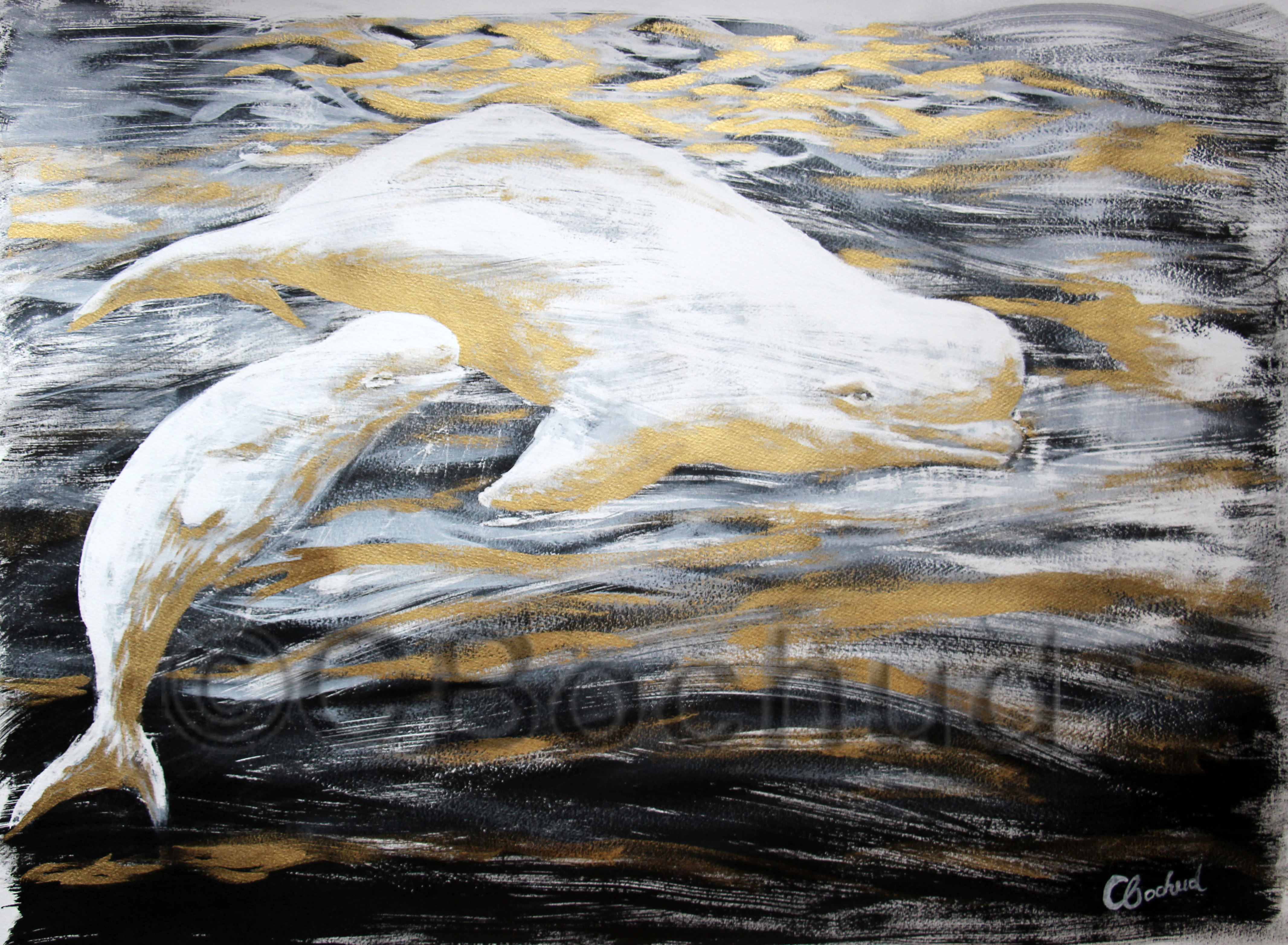 beluga whale gouache ink