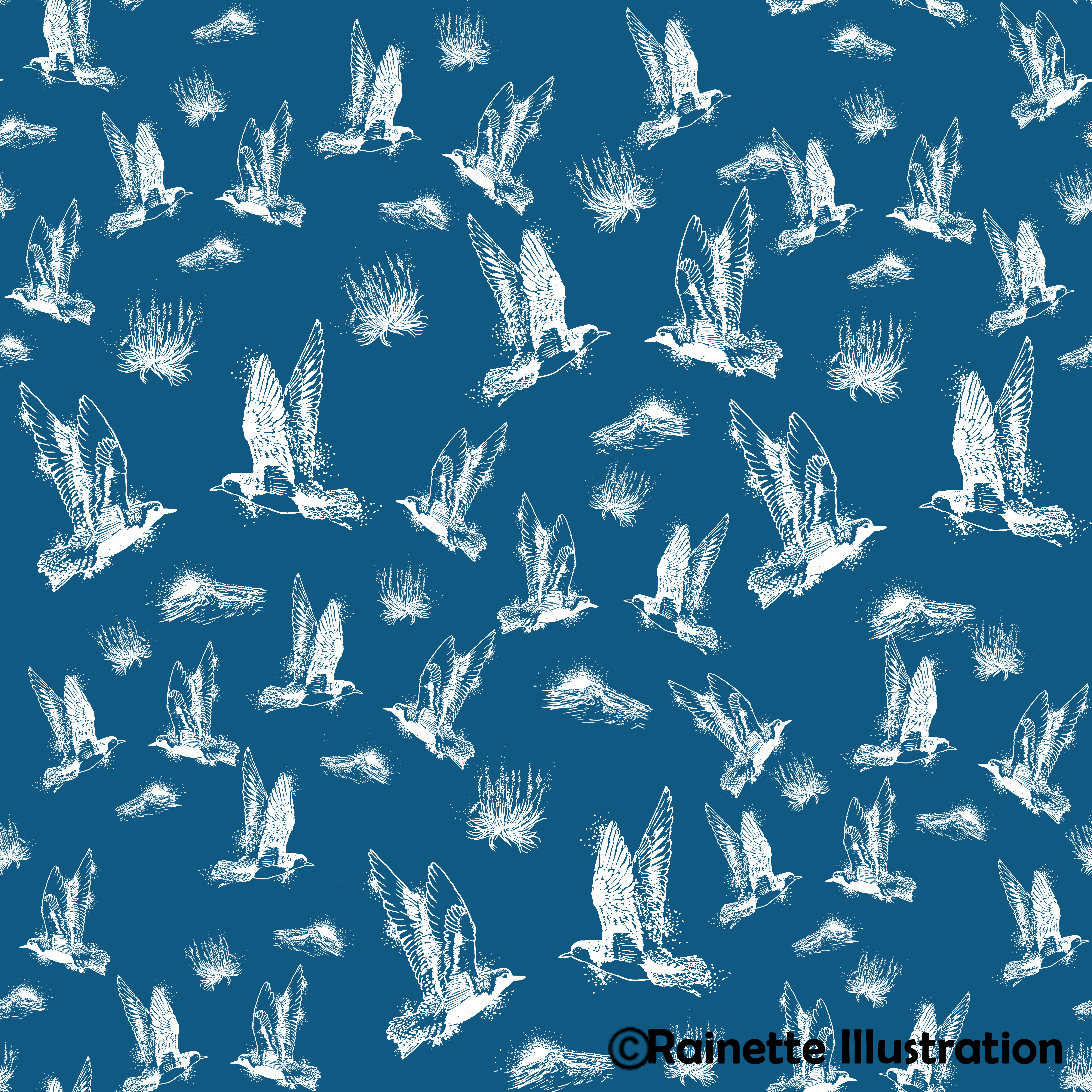 Pluviers argentes_ motif1