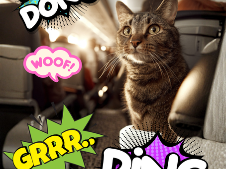 Why Does My Plane Keep Dinging? Your Guide to Airplane Chimes, Dings, and Noises Explained