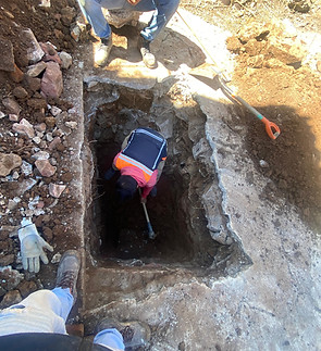 a50ac7c6-501c-4eb1-adc7-c90a7fe6342e.jpg