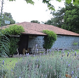 DSCN6953.JPG