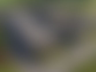 Aerial view of Eveso Sanctuary in the heart of Bozeman & Big Sky