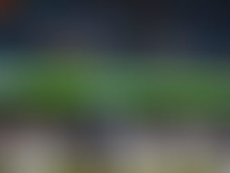 SJ EARTHQUAKES 1-2 MINNESOTA UFC (GREGUS)