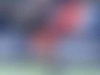 NEW ENGLAND REVOLUTION - CHICAGO FIRE