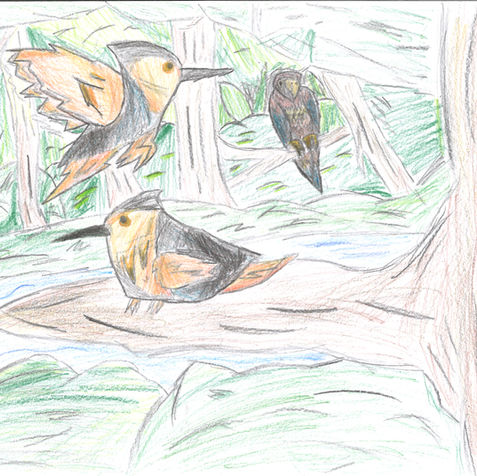 Dondrup Nah Yixun_P4S_Core Draw_2022.jpg