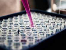 How to Research and Identify Lucrative Foreign Markets