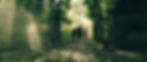 grtgrt_1.5.10