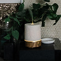 wild bloom 1.24-94.jpg