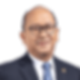 rosan-roeslani.png