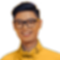 aulion.png