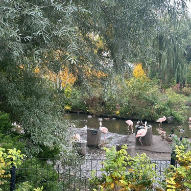 A Day at Lincoln Park Zoo