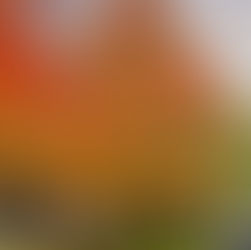 Life as an International student