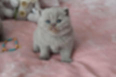 thumbnail-12.jpeg