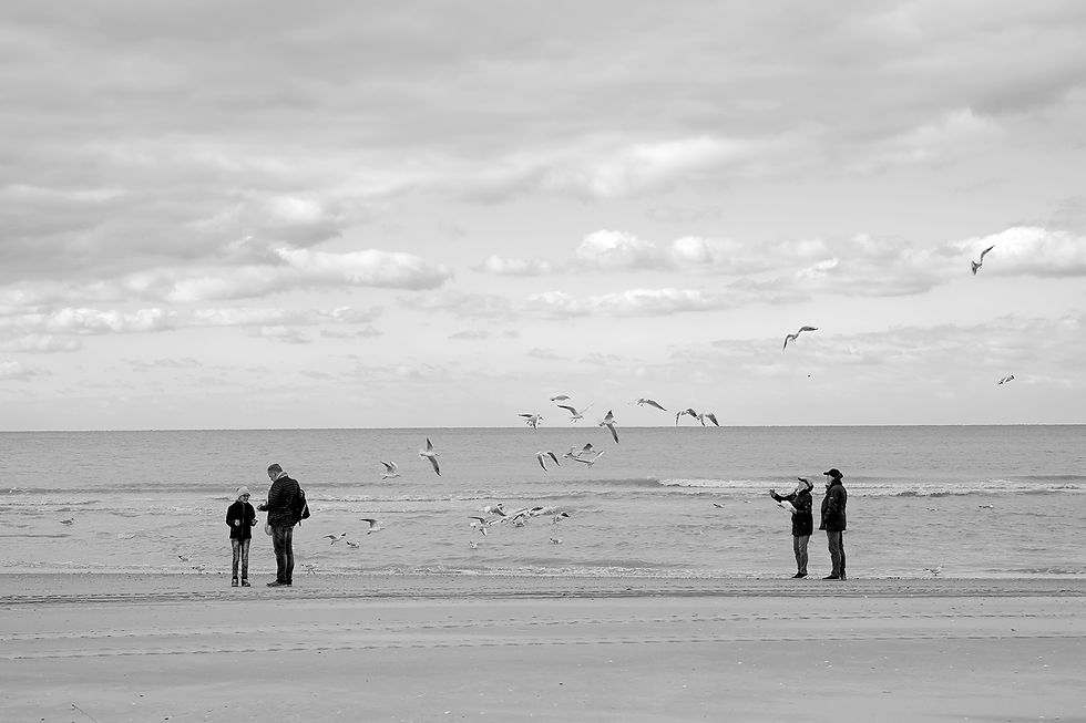 on the beach 05