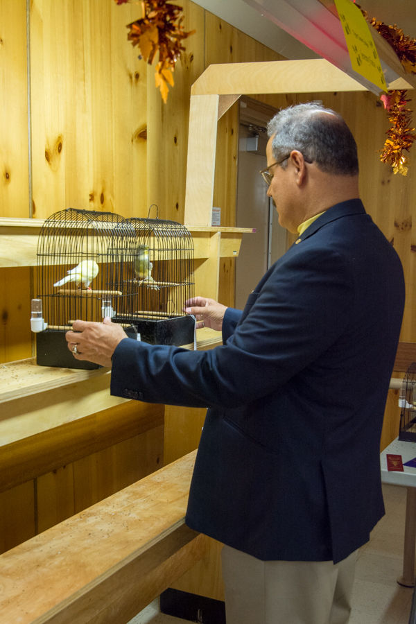 35-jeremy-judging-yorkshire-canaries-1