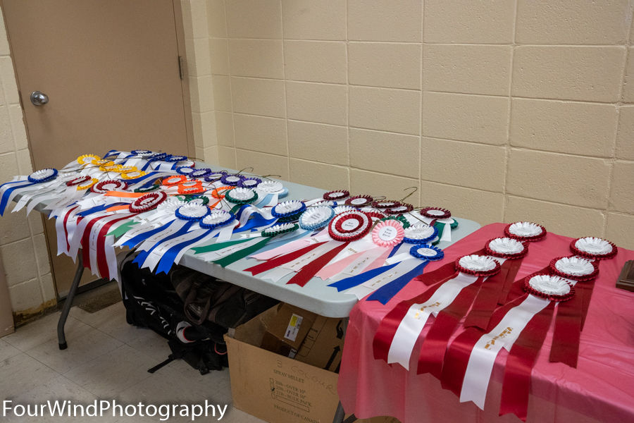 7-awards-ribbons-1