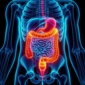 El Intestino: El Gran Guardián de Nuestra Salud Integral
