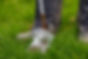 Soil sampling 1 .jpg