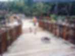 melbourne-zoo.jpg