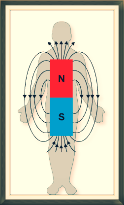 biomagnetismo