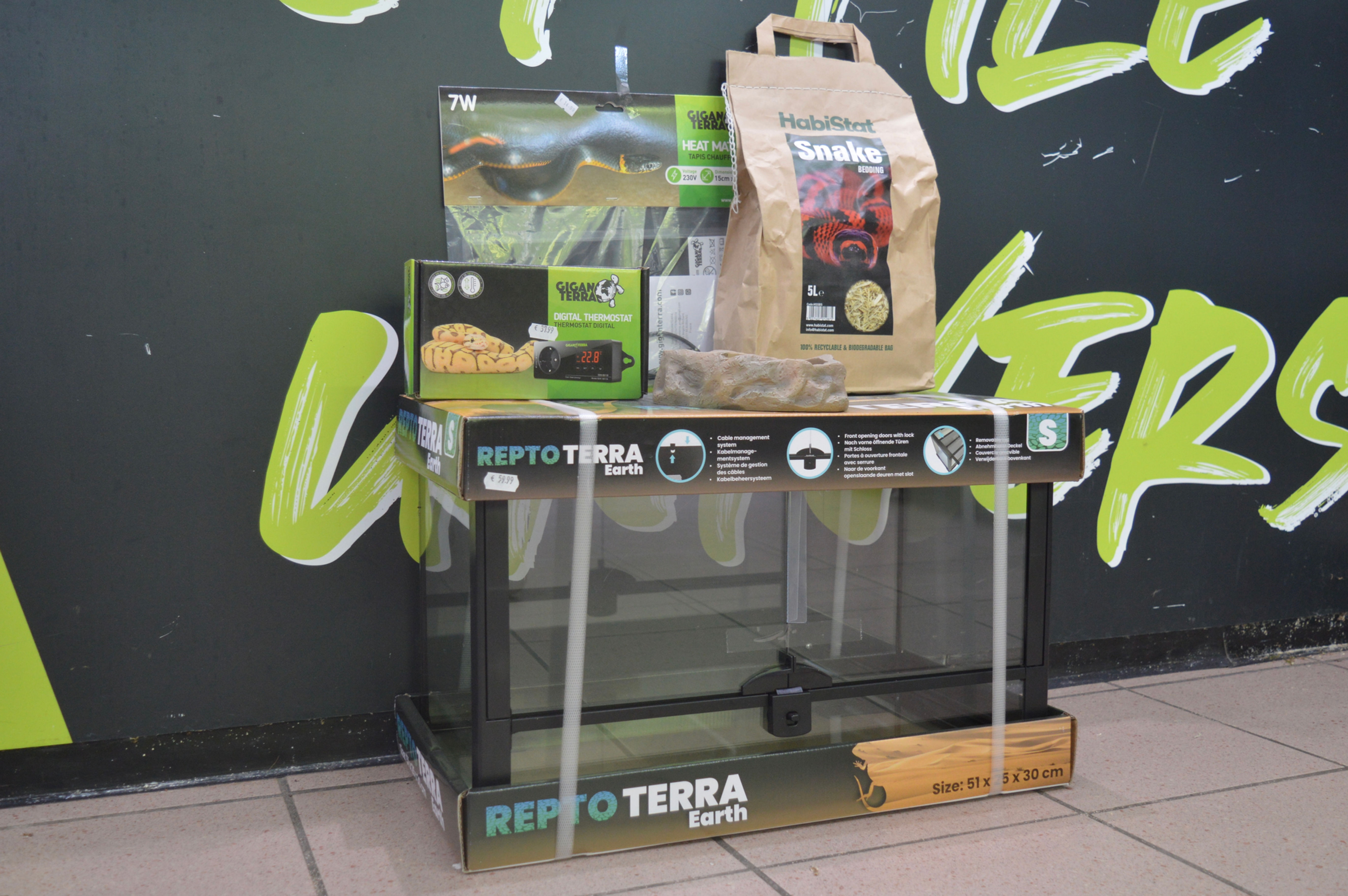 Kit complet juvénile Pantherophis guttatus + 1 Pantherophis guttatus