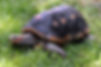 IMG_3368.jpeg