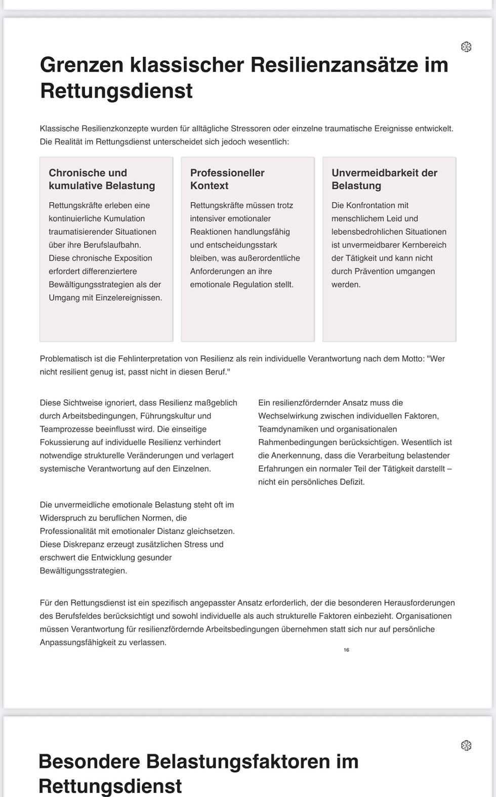 Miniaturbild: Leitfaden Resilienz in Rettungsdienst