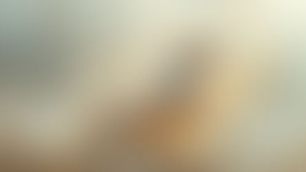 Van Slang naar Vuurpaard – Over vervellen zonder te vergalopperen