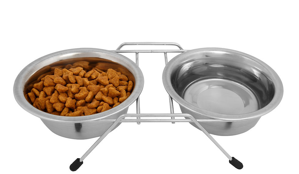 Two metal feeding bowls for dogs with food and water.