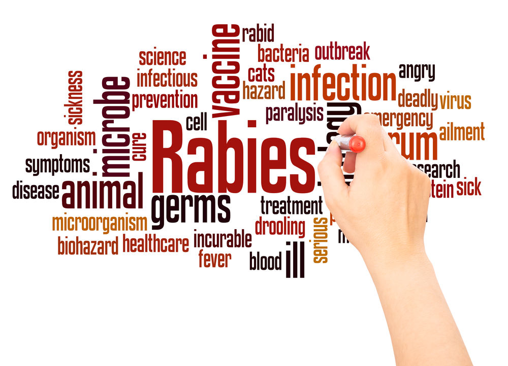 Why is Rabies Disease important?
