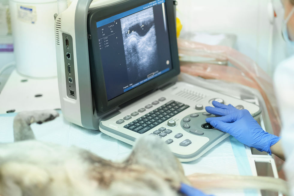 Ultrasound