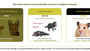 The Silent Epidemic: Kenya's Most Overlooked Canine Cancer