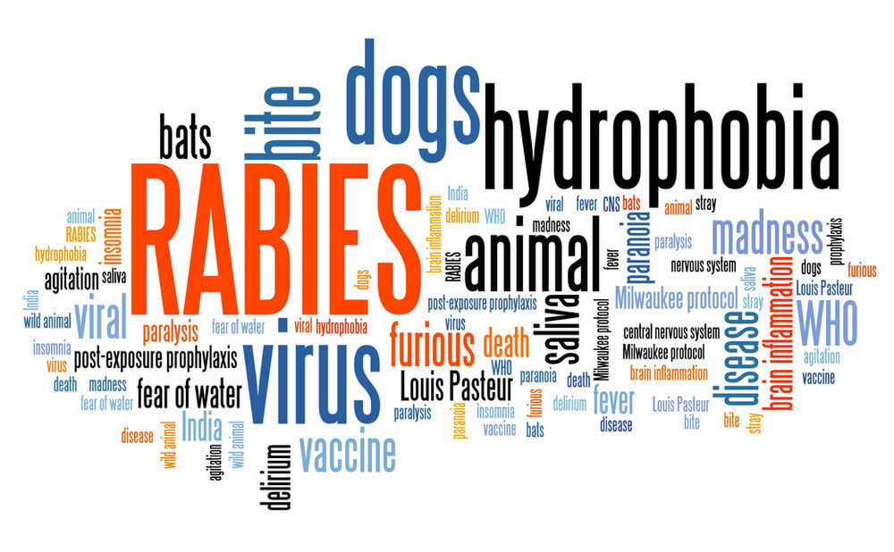 Why is Rabies Disease important?