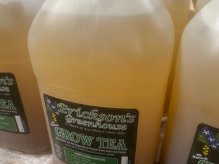 Erickson's Grow Tea