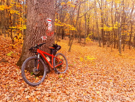 Keresztül-kasul az őszi Abaújon és Zemplénen