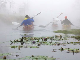 Vízitúra a Hévíz-patakon