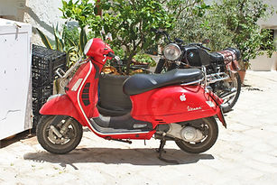 IMG_6403.JPG