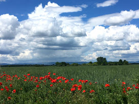 Felfedezések a Bükk-hegység előterében