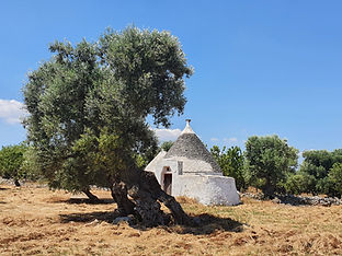 Trullo - Utazzgeografussal.jpg