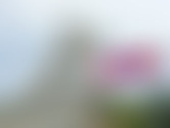 Megérkeztünk Mongóliába