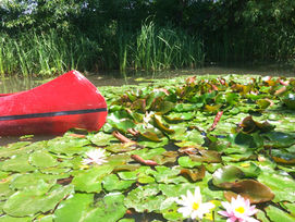 7.1 A fogalmi értelmezés problematikája