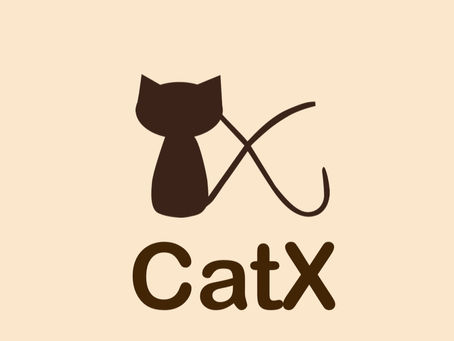 Brand Creating - CatX