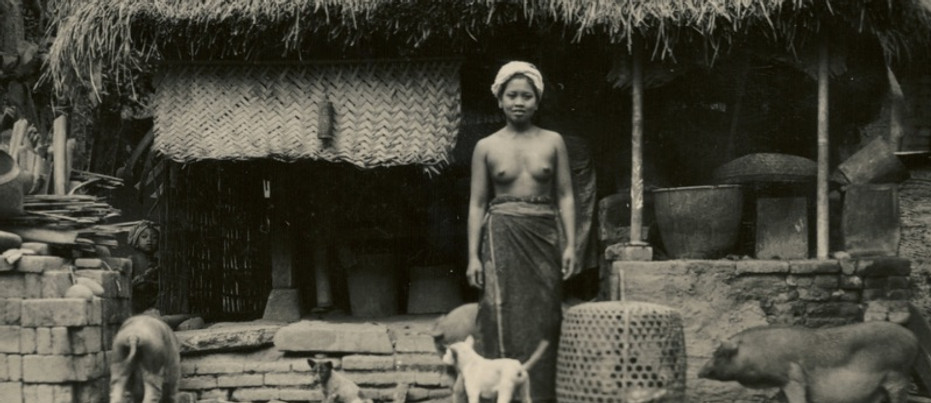Bali geschiedenis.jpg
