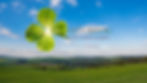 Gückstag Flyer A3 (Blog Banner) (7).jpg
