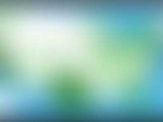 One Vote, Unequal Power: The Electoral College