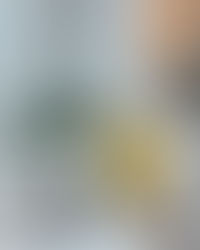 Čista kopalnica v 5 minutah