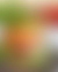 zakaj si hamburgerjev ne bi naredili sami doma?