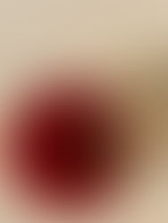 MALINOVA PANNA COTTA